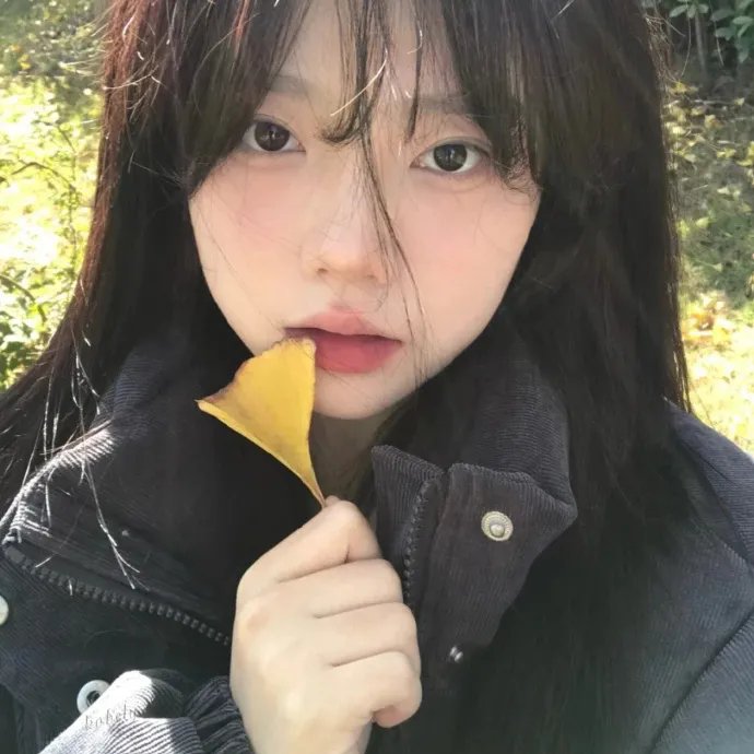 小鱼封面
